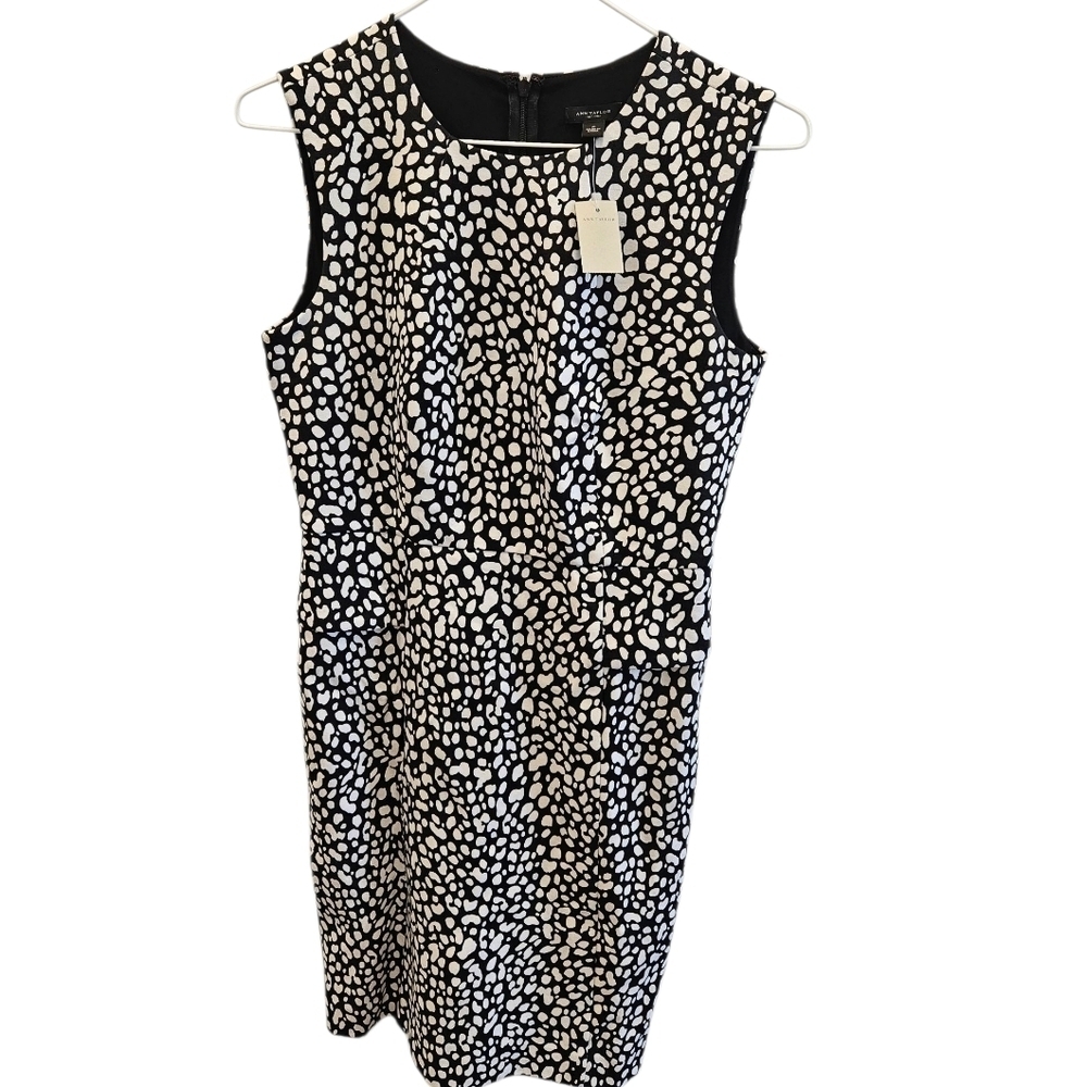Ann Taylor Black White Fitted Dress Career NEW Womens
